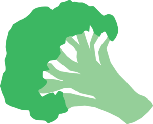 Broccoli Icon
